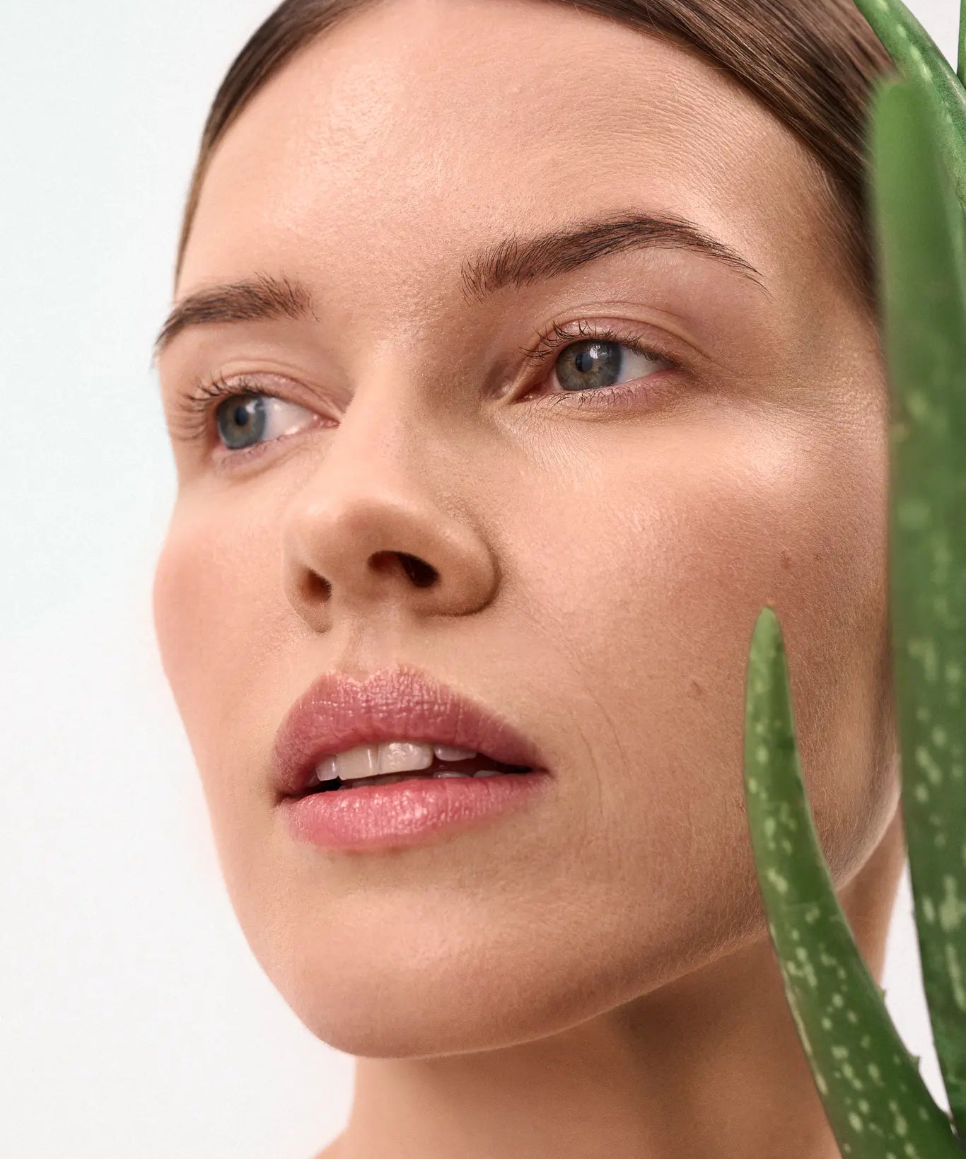 Hyaluronic Longevity Face Cream